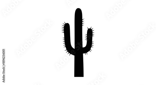 Black silhouette of cactus plant.