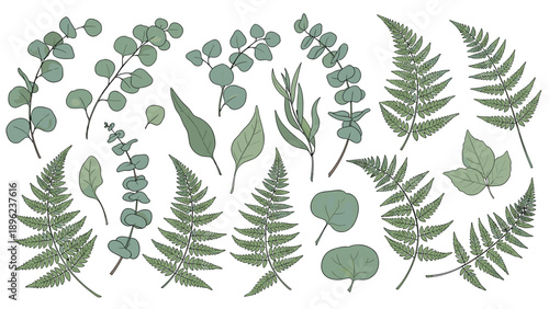 Detailed collection of various green leaves including eucalyptus ferns and other foliage for botanical art and nature themed projects.