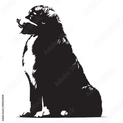 Bernese Mountain Dog Gentle Giant of the Swiss Alps,Bernese Mountain Dog Vector Silhouette ,Strong, Loyal, and Friendly Working Breed
,Bernese Mountain Dog Illustration.