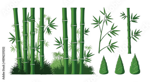 A collection of green bamboo stalks and leaves in a graphic illustration