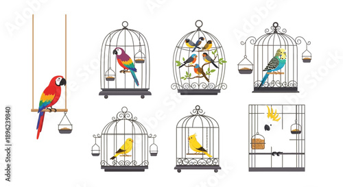Colorful parrots and songbirds perched inside ornate empty birdcages