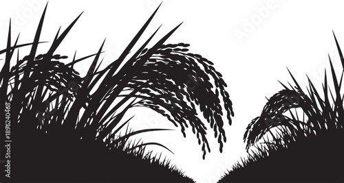 Silhouette of grasses on a white background illustration design