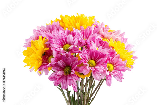Chrysanthemum bouquet isolated on white background