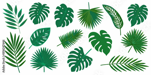 A collection of diverse vibrant green tropical leaves arranged on a white background