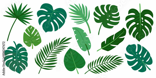 Collection of diverse tropical leaves in varying shades of green