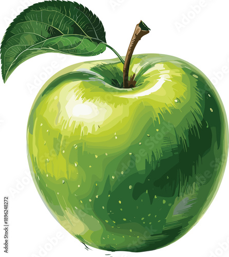 Fresh green Granny Smith apple with leaf isolated on white background, vector illustration, healthy organic fruit, crisp juicy summer snack. (21 words)