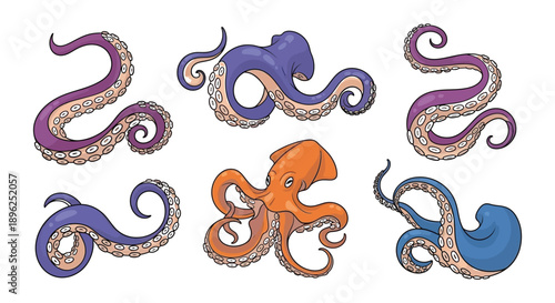 Colorful octopus tentacles and a partial octopus illustration on a white background
