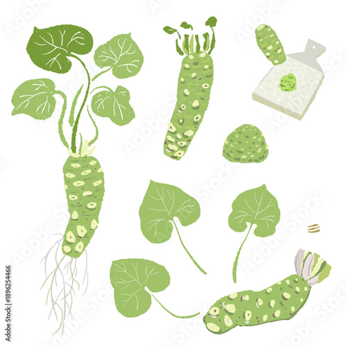 Wasabi Plant and Preparation Set