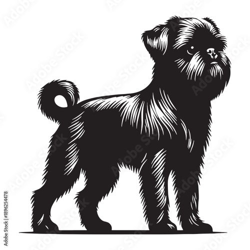 Brussels Griffon Dog – Small Toy Breed, Expressive Face, Big Personality, Alert and Lively Companion, Affectionate Pet.