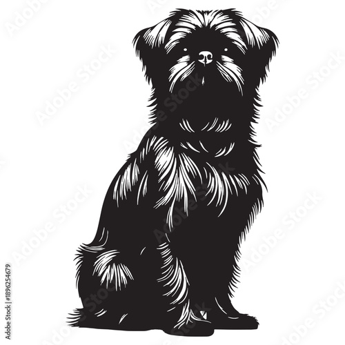 Brussels Griffon Dog – Small Toy Breed, Expressive Face, Big Personality, Alert and Lively Companion, Affectionate Pet.