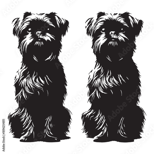 Brussels Griffon Dog – Small Toy Breed, Expressive Face, Big Personality, Alert and Lively Companion, Affectionate Pet.