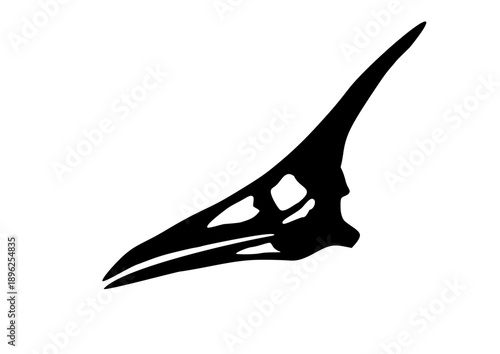 black Pteranodon skull silhouette 