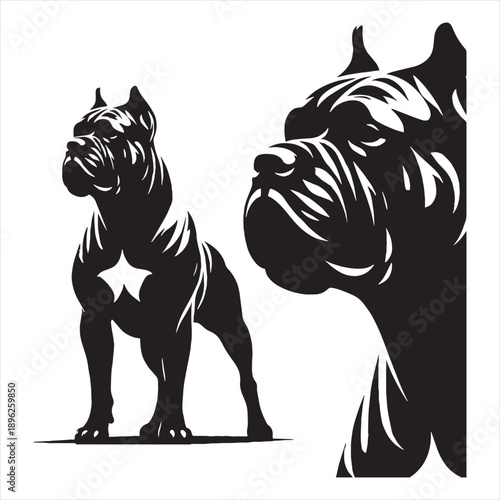 Cane Corso Dog – Powerful Italian Mastiff, Loyal Guardian, Muscular Protector, Noble Working Breed.