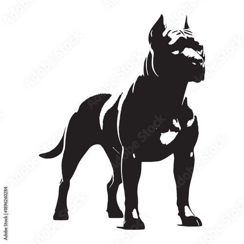 Cane Corso Dog – Powerful Italian Mastiff, Loyal Guardian, Muscular Protector, Noble Working Breed.
