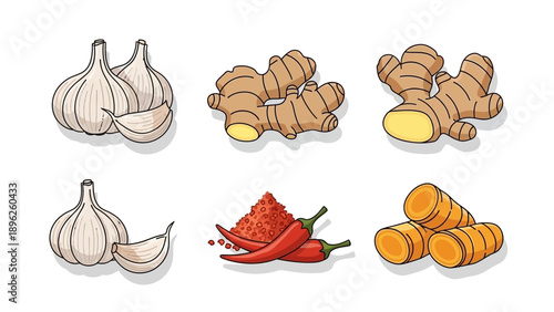 Assorted spices and ingredients including garlic ginger and chili arranged neatly on a white background