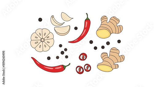 Assorted spices and ingredients arranged on a white background in a digital illustration