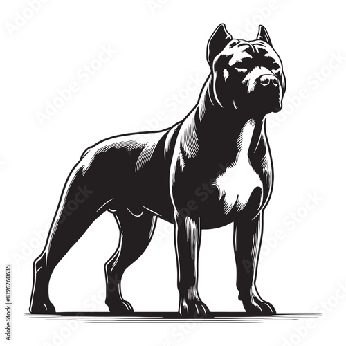 Cane Corso Dog – Powerful Italian Mastiff, Loyal Guardian, Muscular Protector, Noble Working Breed.