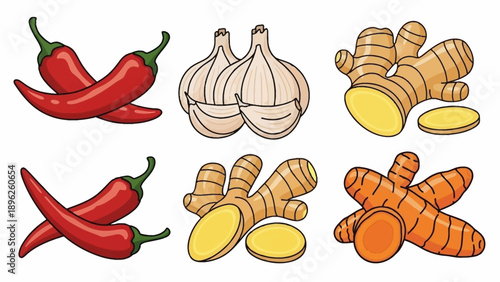 Assorted spices and ingredients arranged neatly on a white background from a top-down viewpoint