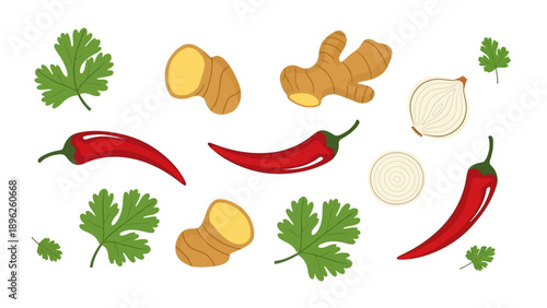 Assorted spices and herbs including ginger and chili peppers arranged neatly for cooking or culinary display