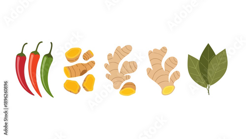 Assorted spices and herbs displayed on a clean background from a top view.