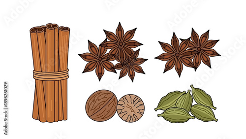 Assorted spices including cinnamon sticks, star anise, nutmeg, and cardamom pods arranged neatly on a plain surface