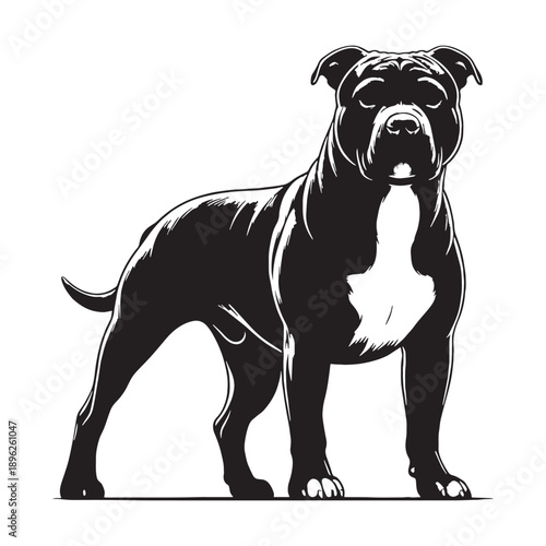 Cane Corso Dog – Powerful Italian Mastiff, Loyal Guardian, Muscular Protector, Noble Working Breed.