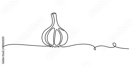 Minimalist continuous line drawing of a garlic bulb on a white background Vector, illustration