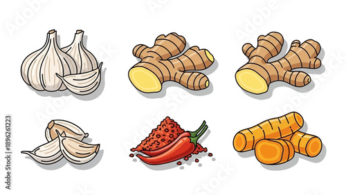 Assorted spices and ingredients including garlic, ginger, turmeric, and chili pepper arranged in a flat layout