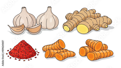 Assorted spices and ingredients including turmeric, garlic, and chili powder arranged on a clean background, viewed from directly above.