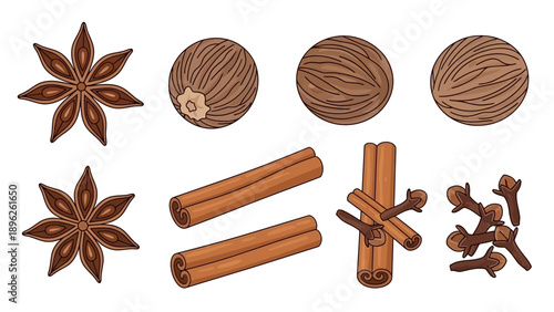 Assorted spices including nutmeg, cinnamon, and star anise arranged on a plain surface