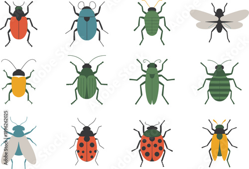 Colorful insect collection illustration isolated on white background, flat vector bugs set, beetles flies ladybugs, educational nature design