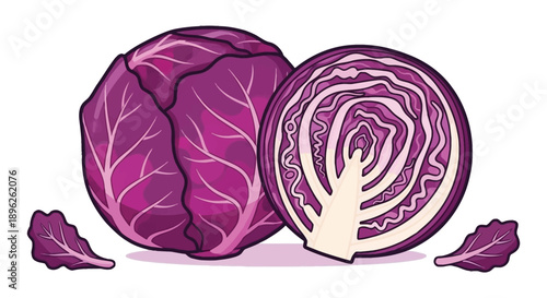 Illustration of a whole and halved red cabbage with scattered leaves