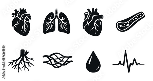 Set of medical icons: heart, lungs, pancreas, nerves, blood, pulse line in black and white