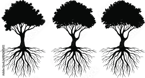 Three black silhouette trees with visible root systems on a white background roots