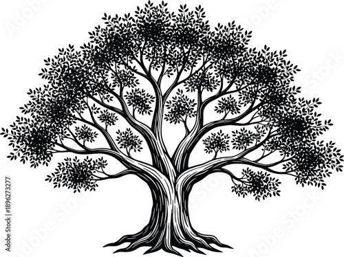 Hand drawn vintage oak tree vector illustration with sprawling branches and lush leaves, isolated woodcut engraving style for nature conservation and family heritage design