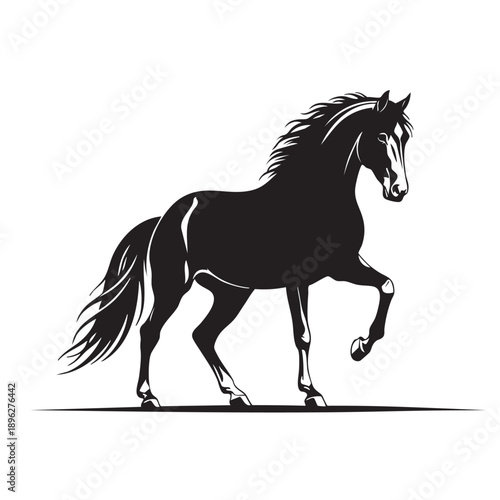 Running Horse Silhouette Illustration