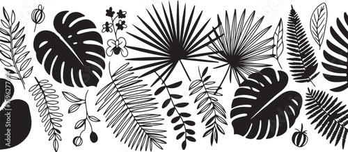 Tropical leaves collection, silhouette, exotic plants, monstera, fern, palm, foliage, jungle flora, black on transparent