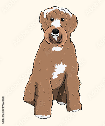 Labradoodle Wheaten Terrier Shaggy Brown Dog Standing Portrait Illustration