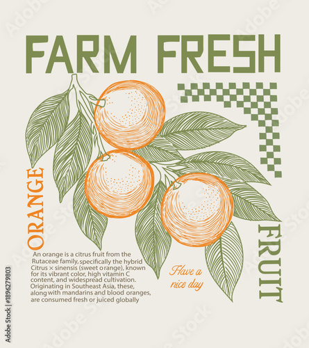 Hand drawn Oranges fruit artwork. Sweet and juicy design. Fresh fruit. summer food fashion trendy design.Orange fruit flower market illustration print with slogan for graphic tee t shirt or poster