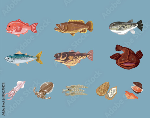 A collection of various fish and seafood species including red snapper, grouper, pufferfish, mackerel, cod, anglerfish, squid, cuttlefish, shrimp, oysters, mussels, and salmon.