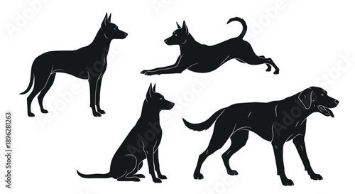 Black silhouettes of four different dogs in various poses including standing sitting walking and lying down are shown on white.