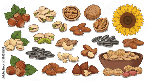 Assorted collection of various nuts and seeds including walnuts, almonds, pistachios, hazelnuts, and sunflowers on white background.