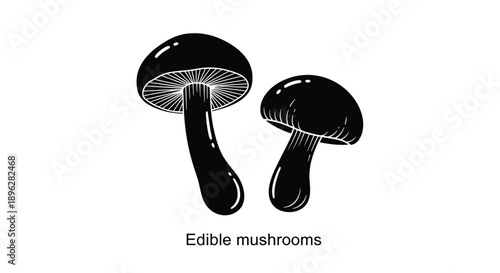 pair of stylized black edible mushrooms with gills and white highlights are illustrated on a plain white background.