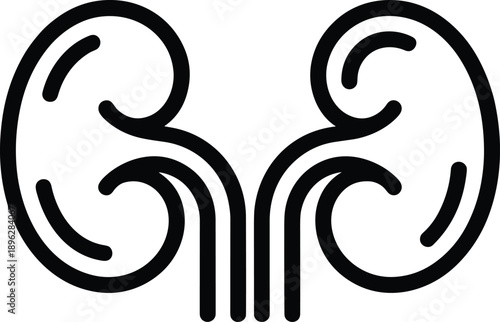 Human kidney line art, medical anatomy illustration, renal system vector, healthcare graphic design, abstract organ artwork, biology education drawing, minimalist medical symbol