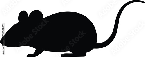 Mouse silhouette vector, rodent animal artwork, small mammal design, black outline illustration, wildlife graphic icon, minimalist pet symbol, scientific biology drawing