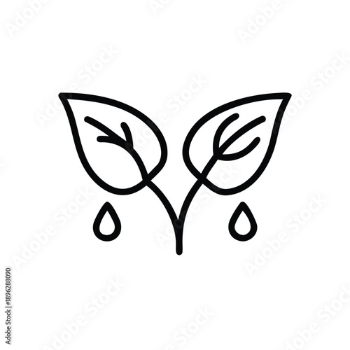 dew, macro, leaf, leaves, green, nature, fresh, moisture, waterdrop, droplet, botanical, foliage,