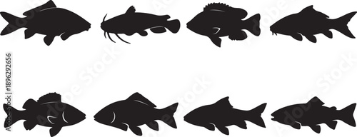 Comprehensive Set of 8 Freshwater Fish Silhouettes Vector Collection: Includes Carp, Catfish, Bass, and Trout Icons for Fishing, Aquaculture, and Seafood Logo Design Elements.