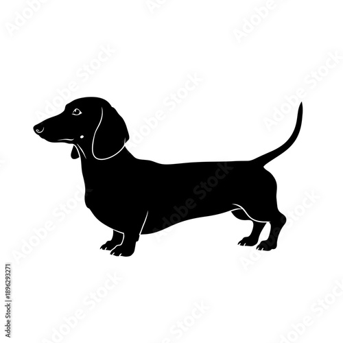 Silhouette of a Dachshund dog, wiener dog breed and pet, black vector shape on white background