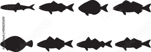 Comprehensive Set of 8 Stylized Fish Silhouettes Vector Icons: Black Aquatic Animals, Marine Life Collection Ideal for Fishing Logos, Seafood Menus, and Ocean Environment Graphics.
