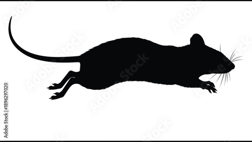 a black silhouette of a mouse running quickly against a white background